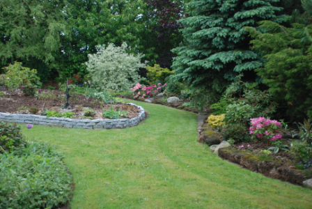 2011garden 5 4.jpg